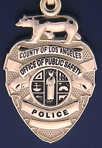 Los Angeles County of Public Safety