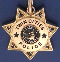 Twin Cities Police #3